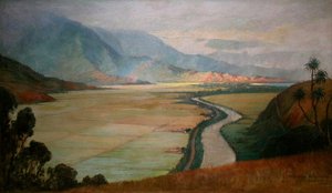 Vallée de Hanalei - D. Howard Hitchcock